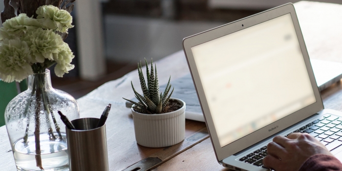 Laptop on wooden desk with a small potted succulent, glass vase of flowers, and pen holder, soft neutral tones, calm workspace